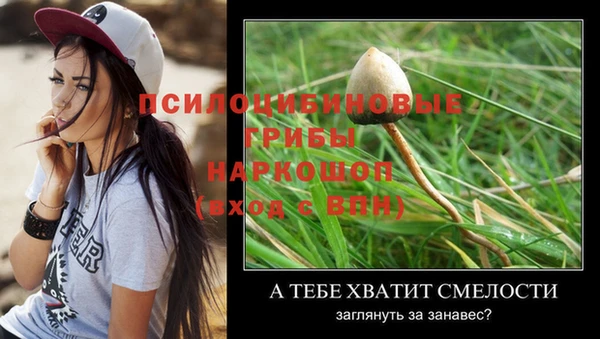альфа пвп Верея